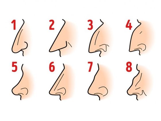 select your nose shape and well tell you about your personality