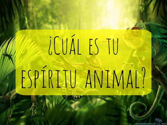 ¿Cómo cuál animal se manifiesta tu alma?
