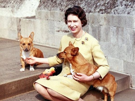 Holly, One Of The Queen's Corgis, Has Died