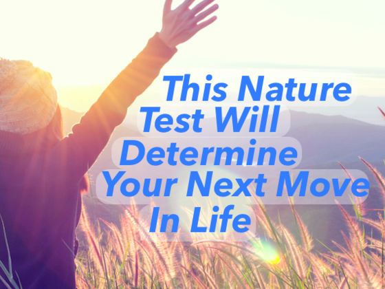This Nature Test Will Determine Your Next Move In Life