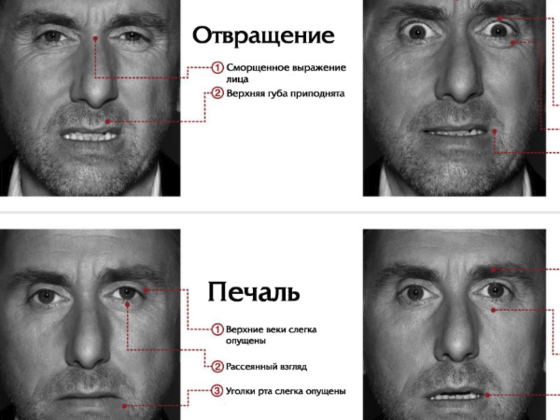 Тест от Усталого монтажера: Насколько хорошо вы умеете читать людей?