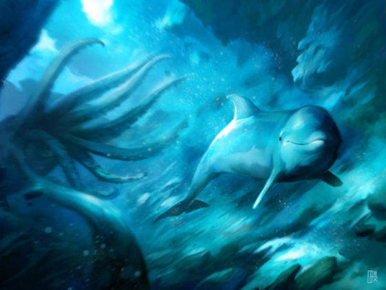 What Type Of Dolphin Are You?