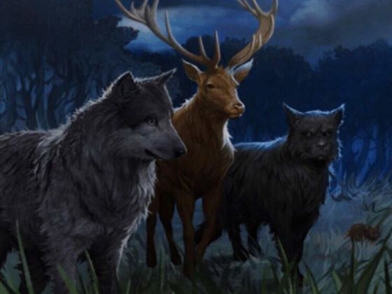These 6 Questions Reveal Your True Animagus Form