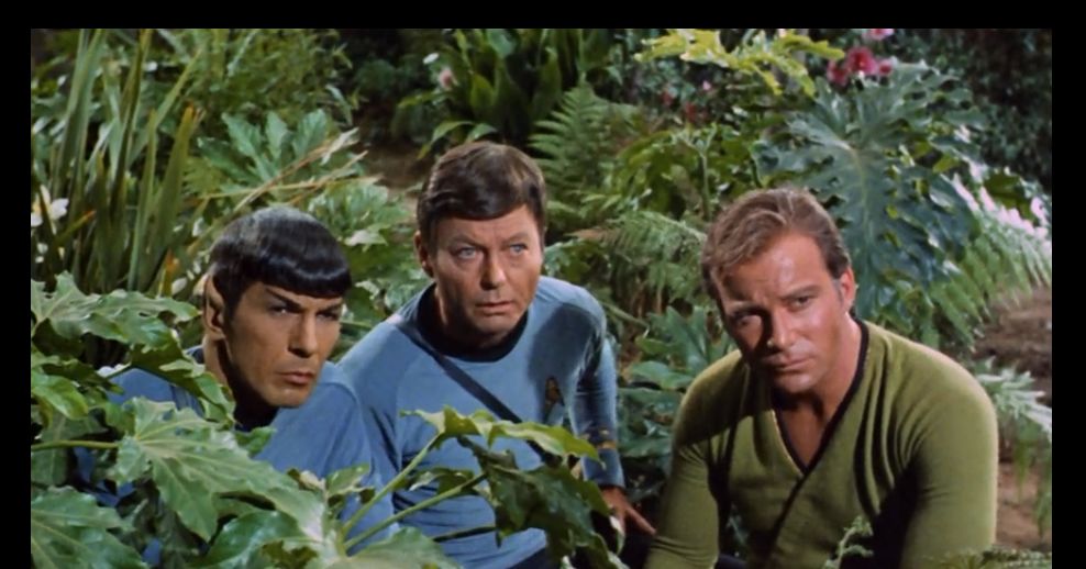 Which Star Trek Character Are You? Playbuzz