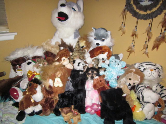 Βλέπεις κάτι διαφορετικό ανάμεσα στα λούτρινα κουκλάκια;