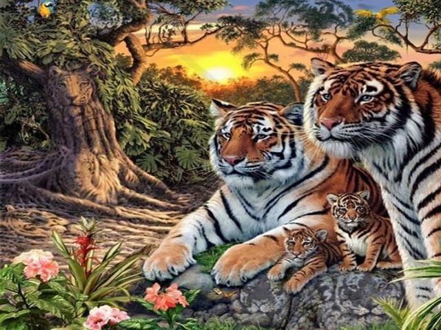 Πόσες τίγρεις βλέπεις στη φωτογραφία;