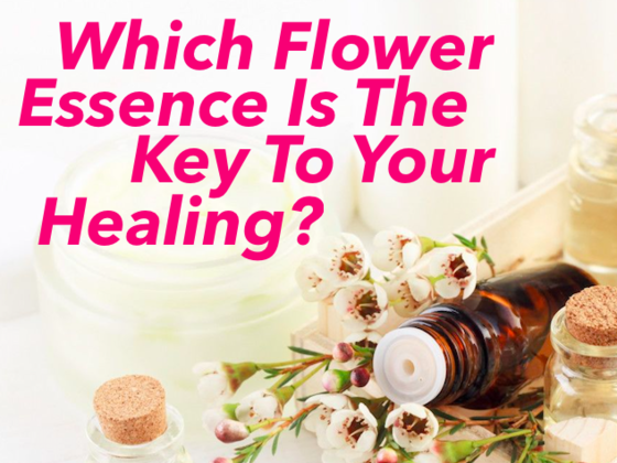 Which Flower Essence Is The Key To Your Healing?