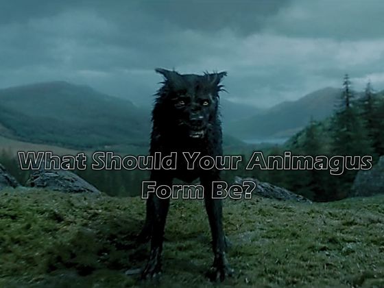 What Should Your Animagus Form Be?