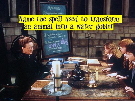 Could You Pass Transfiguration 101?