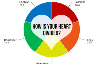 How Is Your Heart Actually Divided?