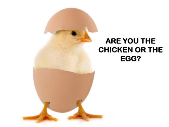 Are You A Rooster, A Chicken, Or An Egg? | Playbuzz Are You A Rooster, A Chicken, Or An Egg? | Playbuzz
