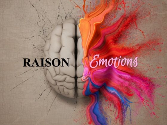 Votre cerveau est-il gouverné par vos émotions ou votre raison ?