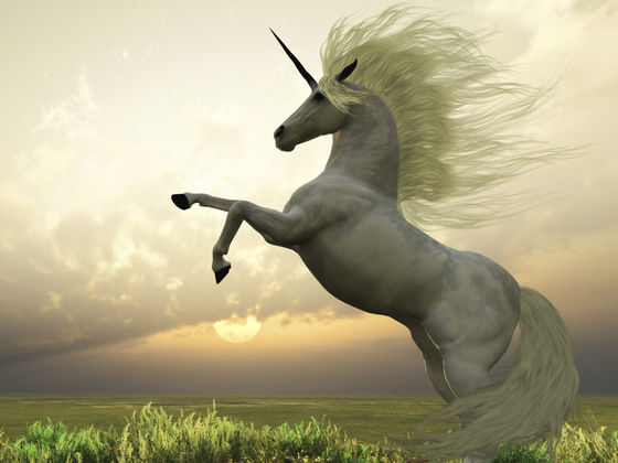 Which Magical Creature Are You?