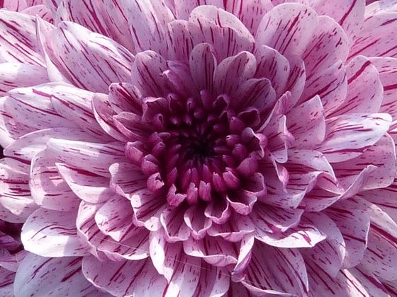 What Is Your True Inner Beauty?