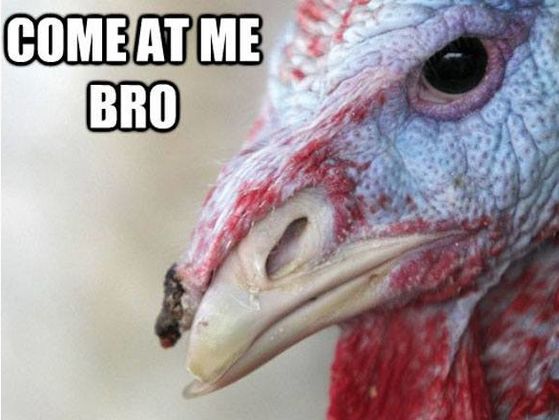 Could You Bag Your Own Turkey For Thanksgiving?