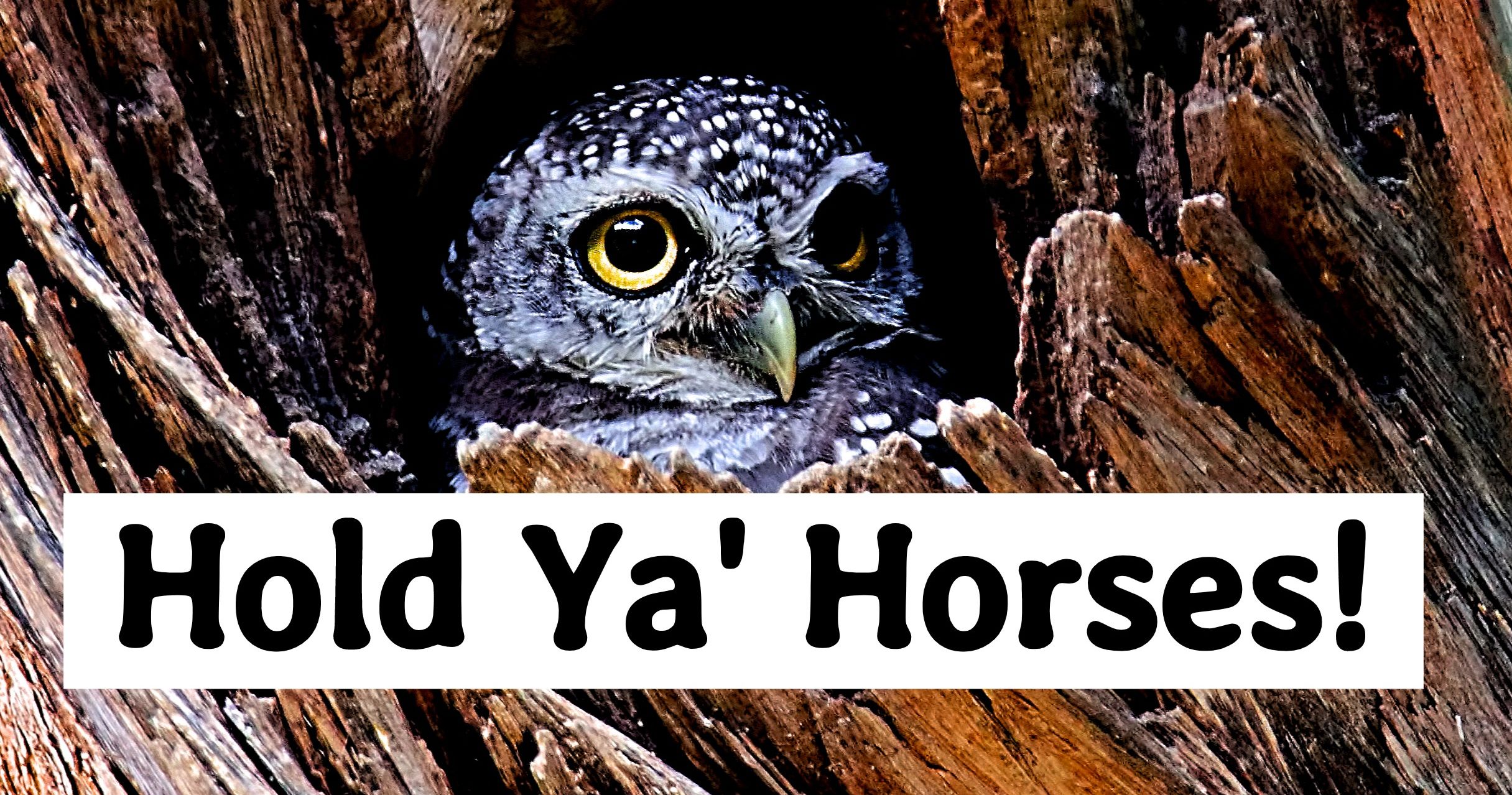 We Can Guess Which American Accent You Actually Have Playbuzz