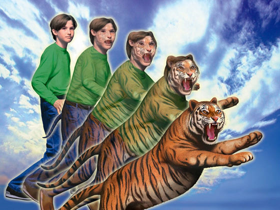 What Animal Are You?