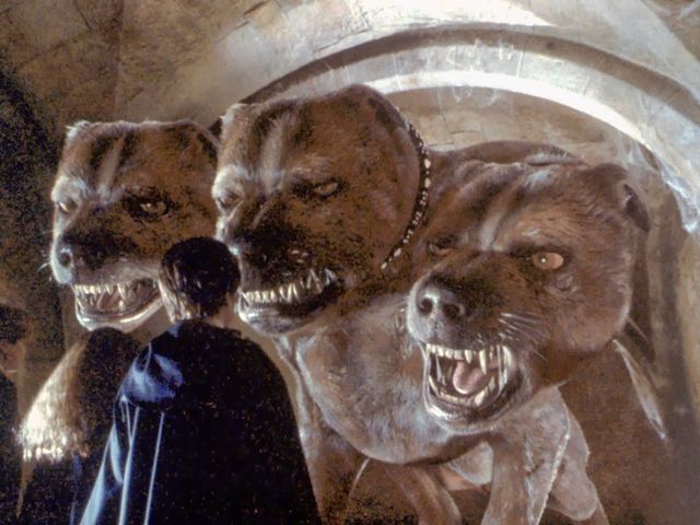 Perro De Tres Cabezas Harry Potter