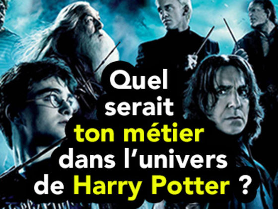 Quel Serait Ta Vie à Poudlard Quel serait ton métier dans l'univers de Harry Potter ? | Playbuzz
