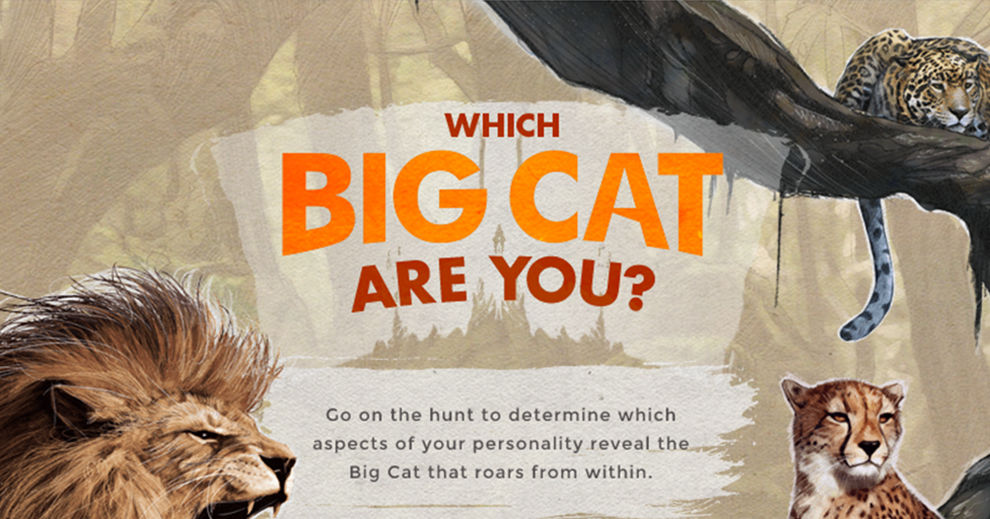 Which Big Cats Are You? Playbuzz