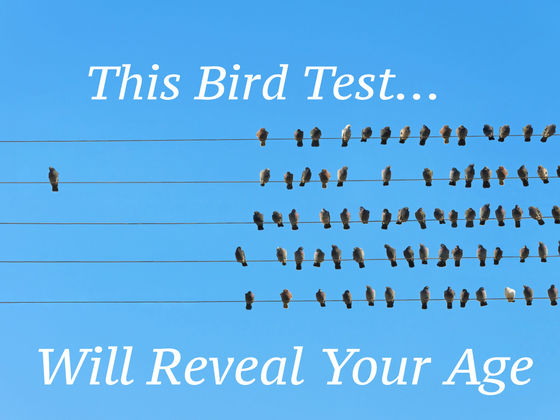 This Bird Test Will Reveal Your True Age