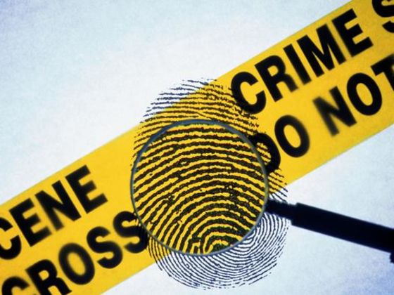 Would You Be A Good Crime Investigator?
