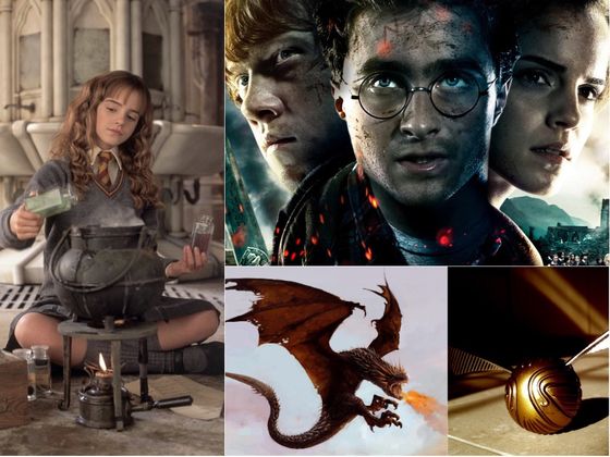 Answer Only Two Questions To Reveal Your Hogwart's Wizardly Hobby!