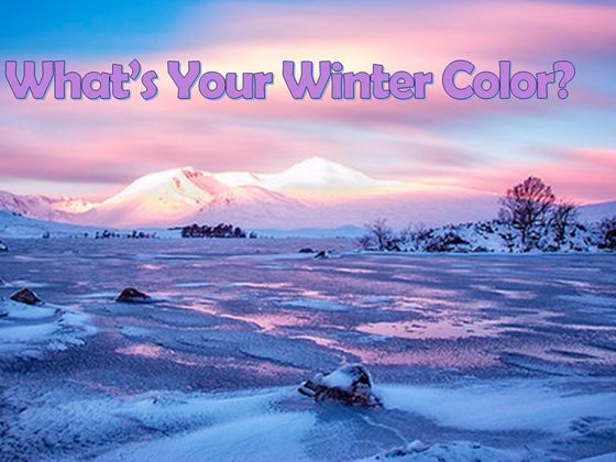 What's Your Winter Color?