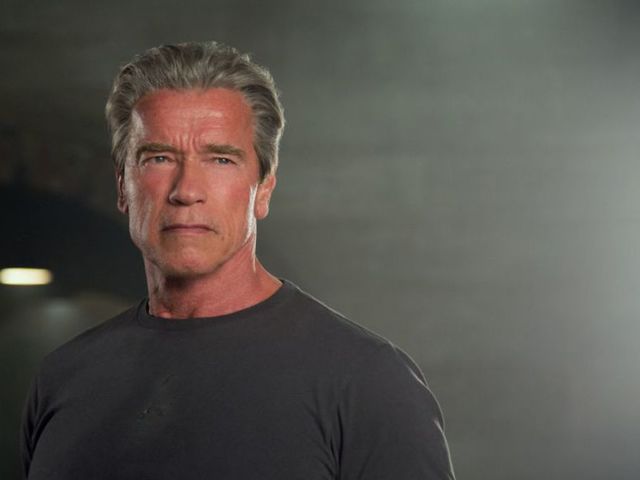 Com qual ator brasileiro Arnold Schwarzenegger já trabalhou?
