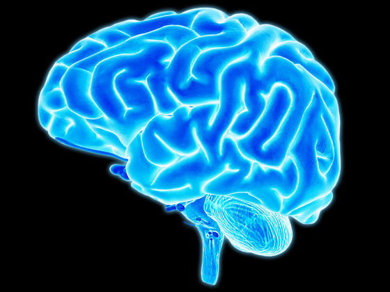 Será que passas neste teste de inteligência?