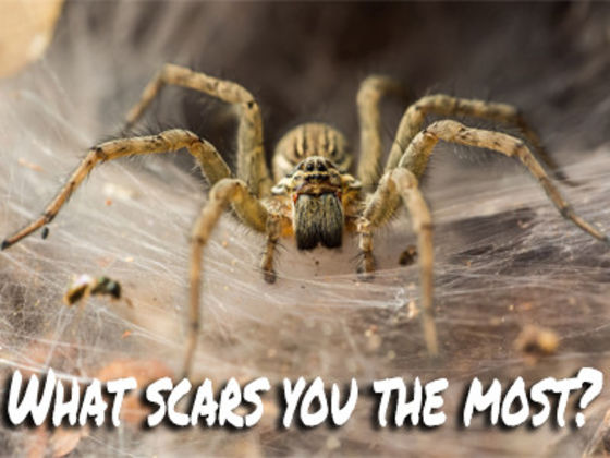 What's your biggest fear?