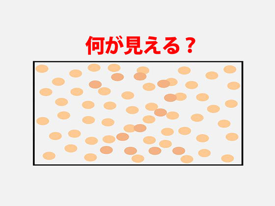 これ何に見える?あなたの色覚が正常かどうかを診断するテスト