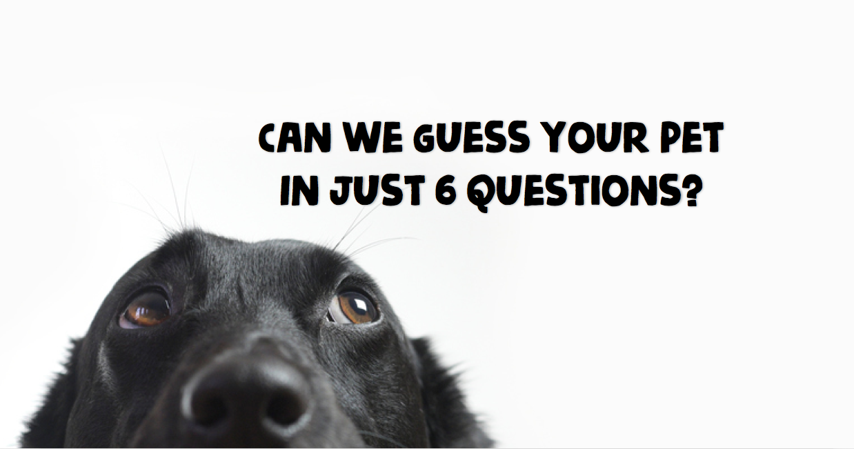 Can We Guess Your Pet In Just Six Questions? Playbuzz