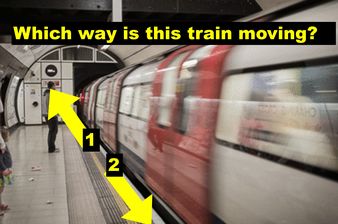 Is Your Brain Easily Confused?