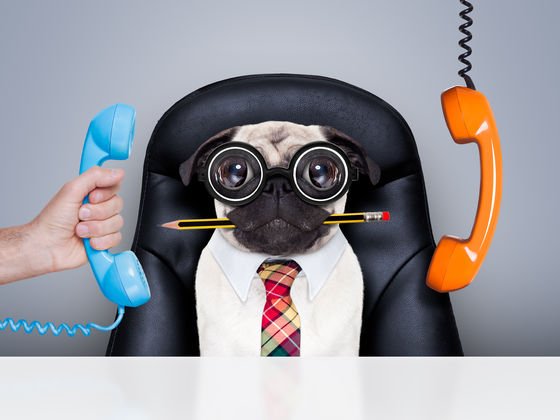 Тест: На какой необычной должности вы могли бы работать?