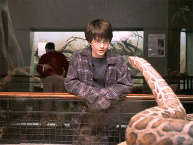 Como Se Llama La Serpiente De Voldemort