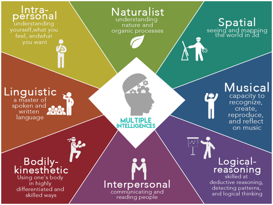 Image result for multiple intelligences