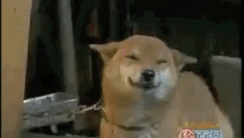1c7ccd11-d20e-497e-8a2d-41301113f02b.gif