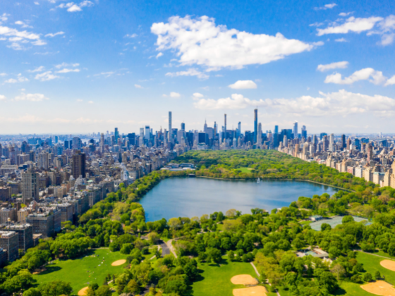 Are You Eligible To Live in New York City?