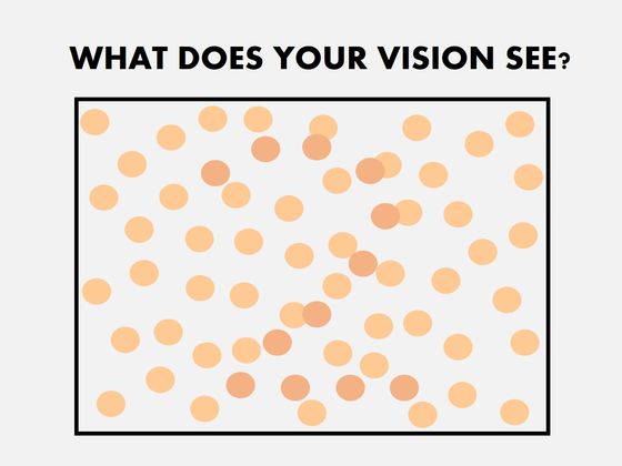 Does Your Vision Have The Potential To Differentiate Between Colors?
