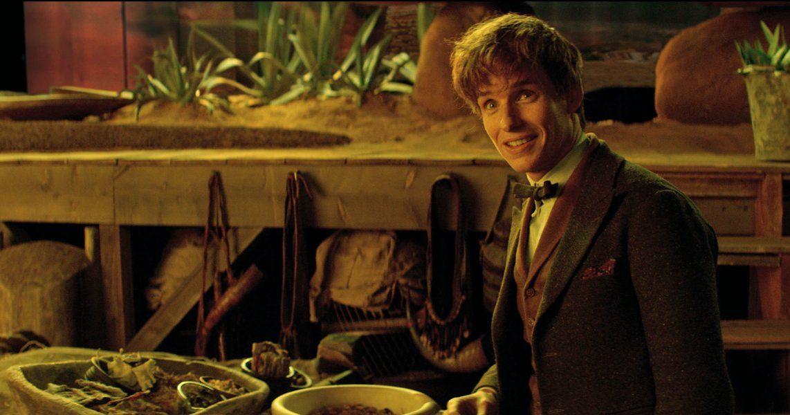 What Newt Scamander are you? Playbuzz