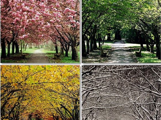 essays spring and fall Spring and fall are very distinct from summer and winter although they all april 02, 2018, from. essays spring and fall Spring and fall are very distinct from summer and winter although they all april 02, 2018, from.