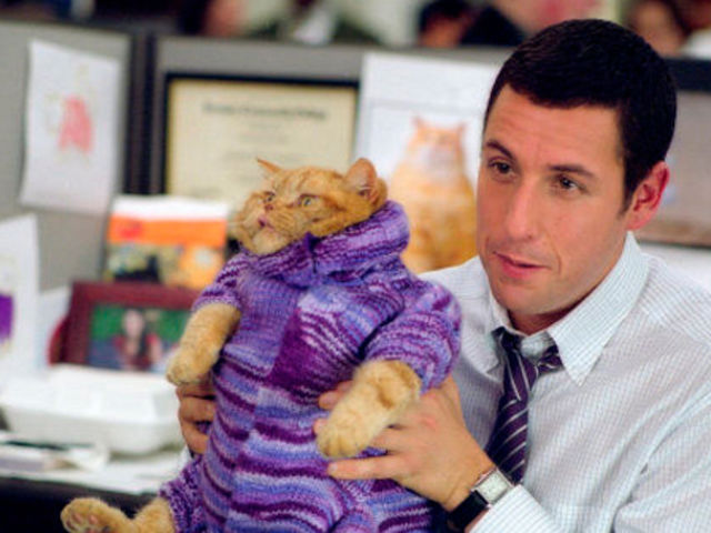 Adam Sandler 