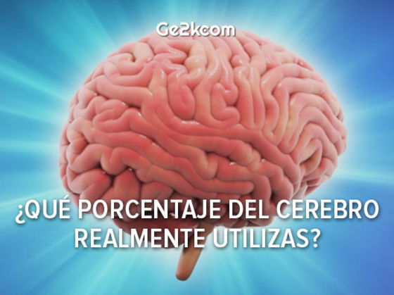 ¿Qué porcentaje del cerebro realmente utilizas?