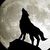 Shewolf2020