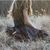 Luthien Numenesse