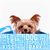 PetBox