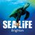 Sea Life Brighton