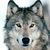 ShadowWolf Gaming