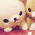 HoneyPup